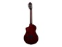 Ortega Tourplayer rtpsts-nat alternative image  3