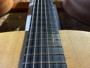 Martin DX1RAE +Original Gig Bag
