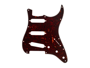 Fender Battipenna Stratocaster 11Hole Tortoise Shell