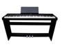 Echord WS10 - Stand For SP-10
