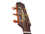 Takamine P4DC