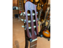 Godin Multiac Nylon Encore