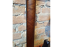 Music Man Luke III immagine alternativa  5