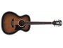 D'angelico Premier Tammany Aged burst alternative image  3