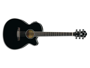 Ibanez AEG10II Black