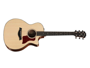 Taylor 514ce Limited