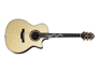 Crafter DGXE Rose w/Case