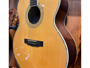 Cort CJ10X