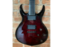 Schecter Devil Custom