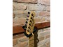 Fender Telecaster Player