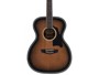 D'angelico Premier Tammany Aged burst alternative image  1