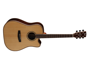 Cort AS-M5 Natural W/Case