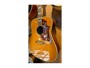 Gibson Hummingbird alternative image  1