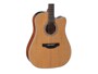 Takamine GD20CE Natural Satin