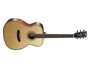 Cort AS-06 W/Case Natural