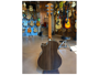 Taylor 814CE