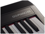 Roland Go:piano 88 immagine alternativa  4