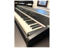 Viscount Legend 70s Compact + modulo Acoustic Piano