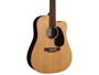 Martin DC-X2E Brazilian 12 string remastered