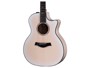 Taylor 614ce LTD, 50th Anniversary