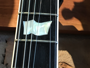 Esp Viper Custom