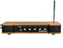 Moog Music Etherwave theremin