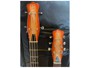 Danelectro DB604 Copper Burst Chitarra/Basso Doppio Manico