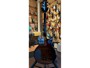 Ibanez AR420VLS + HardCase