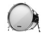 Evans BD20RSW-NP EQ3 Resonant Smooth White 20