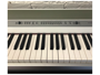 Korg SP250