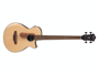 Ibanez AEGB30ENTG alternative image  3