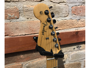Fender Player Stratocaster Left-Handed MN Candy Apple Red