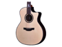 Crafter PG-G-1000CE