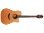 Takamine P3DC immagine alternativa  3