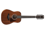 Ibanez AW5412 Junior Open Pore Natural