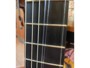 Taylor NS24CE