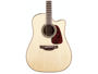 Takamine P4DC