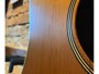 Takamine EAN10C