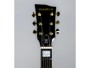 Dunable Asteroid DE Gloss Black / Gold Hardware