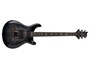 Prs SE Mark Holcomb