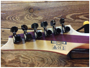 Ibanez JIVA10 Nita Strauss Signature