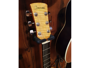 Ibanez PF40