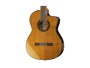 Takamine TC132SC