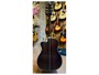 Fender Paramount PM3 Deluxe