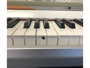 Korg SP250