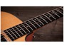 Taylor 110CE Sapele / Spruce