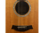 Taylor 810 + LR Bagg Dual Source