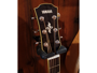 Yamaha APX 700