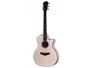 Taylor 614ce LTD, 50th Anniversary