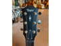 Taylor 317 V-Class